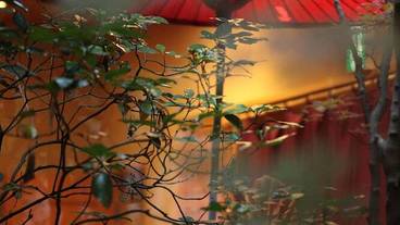 内部エントランス / 2