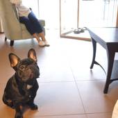 ホテルハーヴェスト有馬六彩（兵庫県 リゾートホテル） / 3