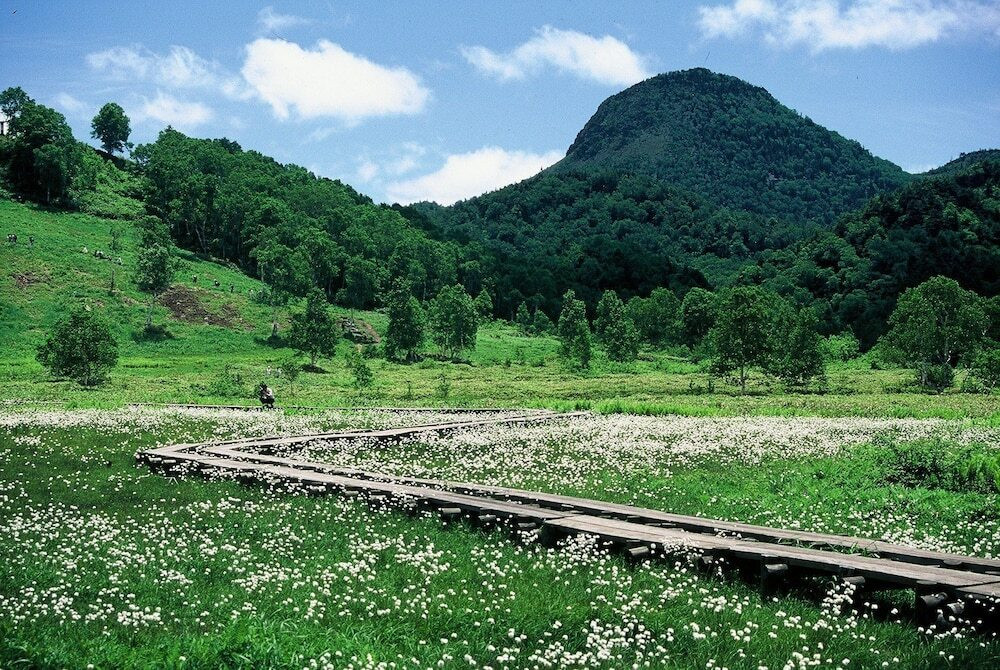 マウンテン ビュー