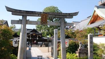 観光スポット / 15