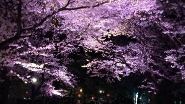 施設の敷地 / 21