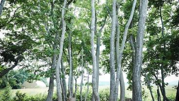 バスルーム / 35