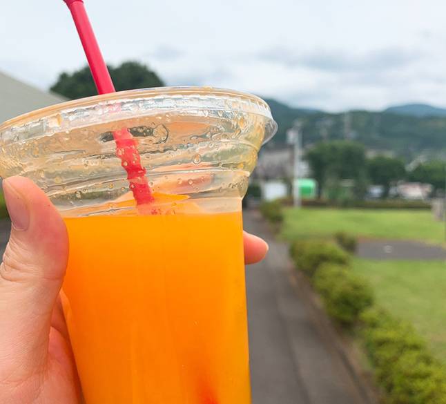 湯河原名物のみかんを
堪能できる問屋へ♪ / 1
