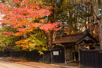 Autumn leaves at Kakunodate Samurai Residences, Michinoku's Little Kyoto