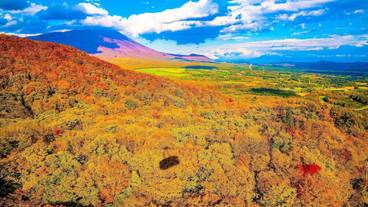 ランド ビュー / 14