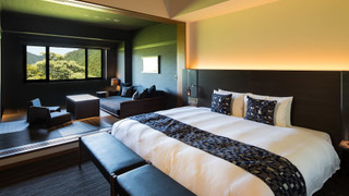 スーペリアデラックスダブル (46平米)