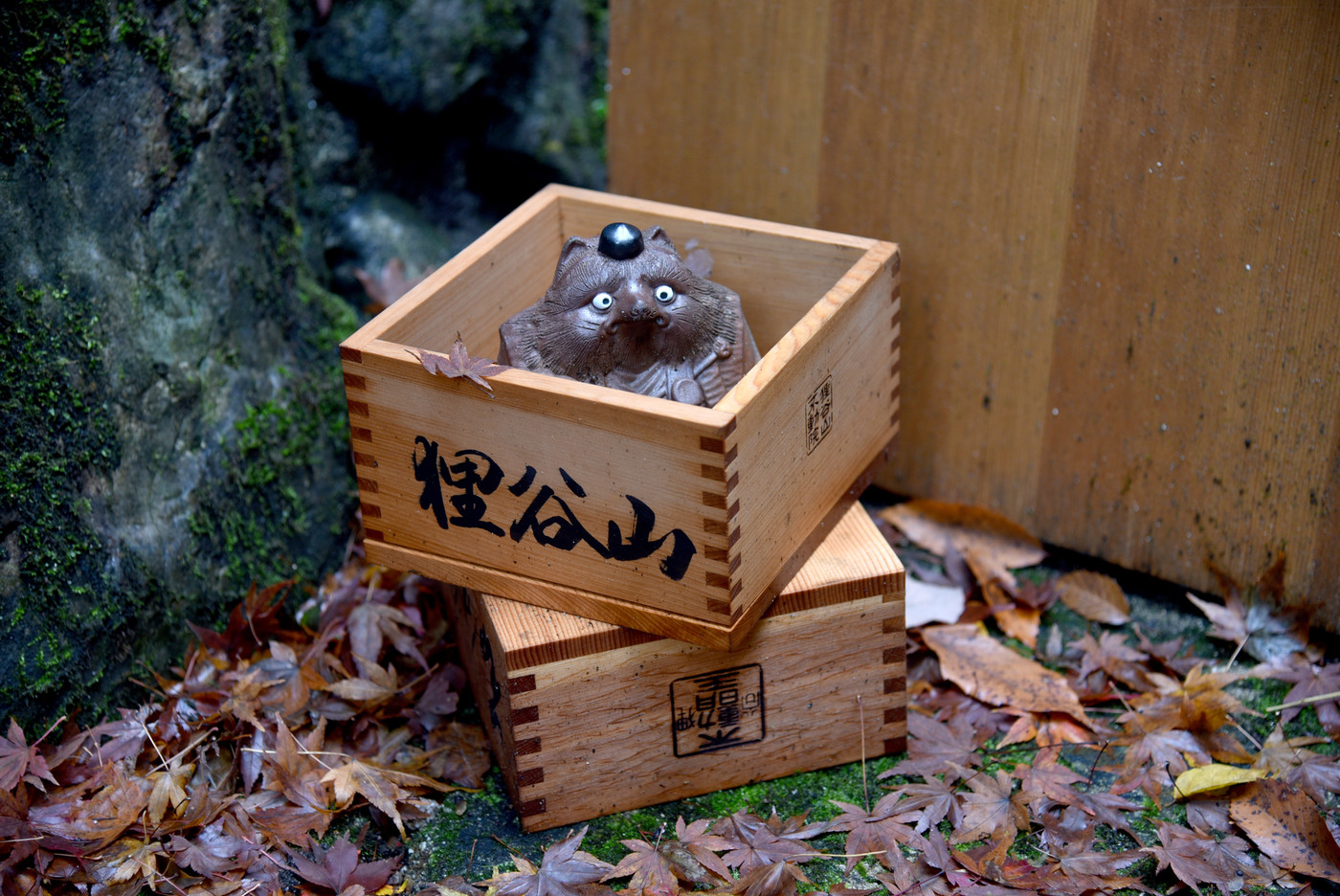狸谷山不動院 入口の狸
