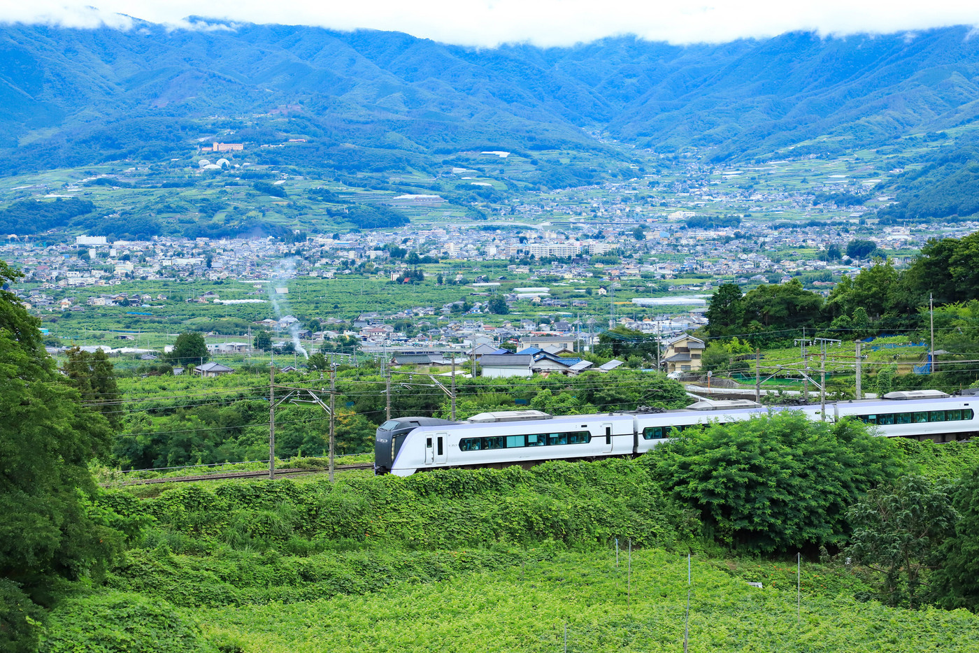 E353系　勝沼ぶどう郷 ブドウ畑