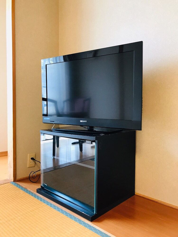 テレビ