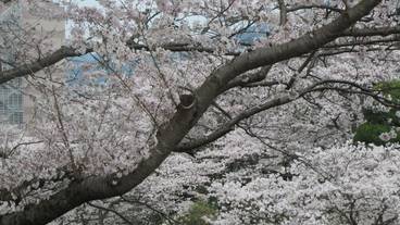 施設からの眺望 / 13