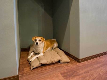 Rakuten STAY VILLA 那須 / 5