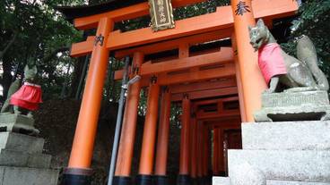 観光スポット / 5