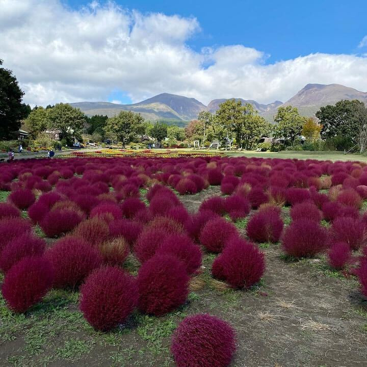 seablue.777さんの写真 / 4