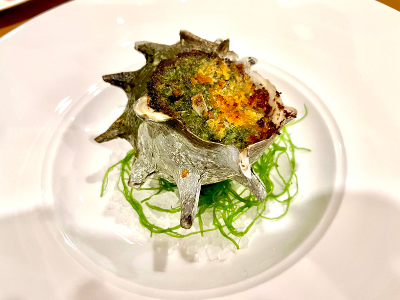 「海のごちそう WATANABE」 料理 157227473 地サザエのブルギニヨン。
大きなサザエ。ガーリックの香りが食欲をそそります。ワインが進むお味。