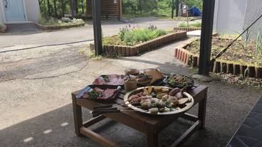 バーベキュー / ピクニック エリア / 2