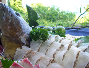 高級魚クエの刺身