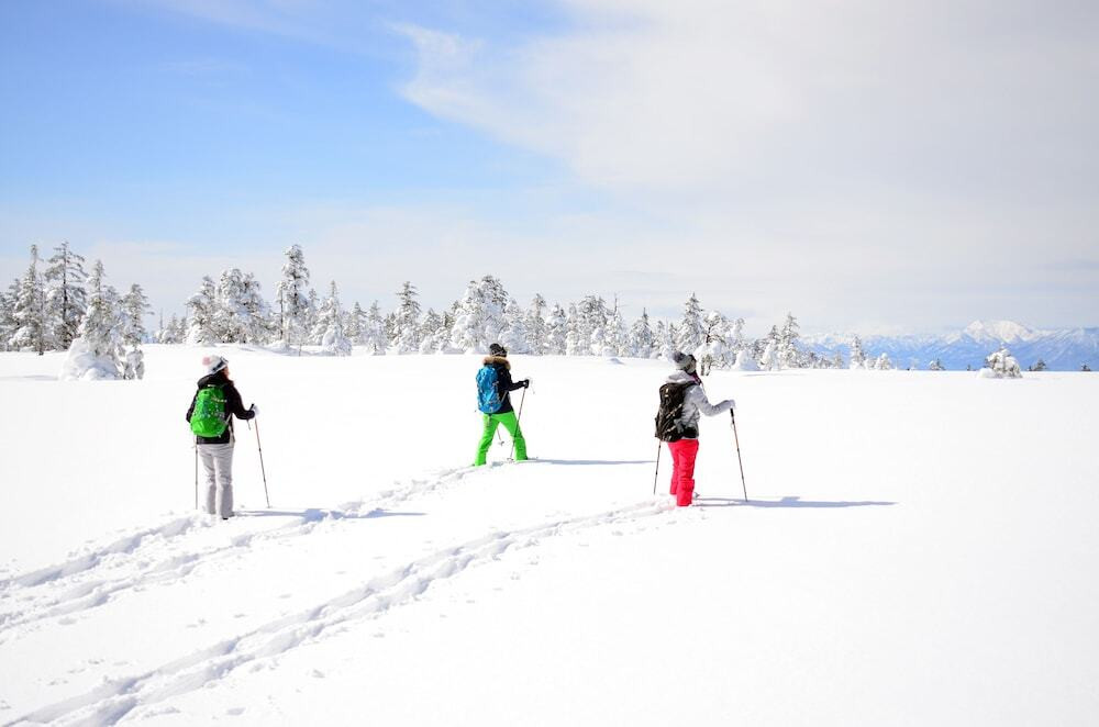 スノー スポーツとスキー