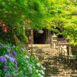 【鎌倉・長谷】ノスタルジックひとり旅。気ままな散策で心もリフレッシュ！