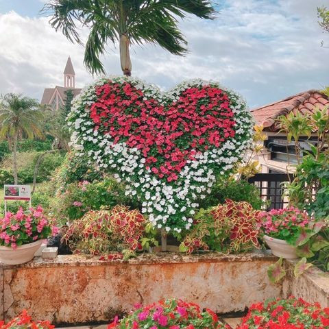 hello_rikadesuさんの写真 / 4