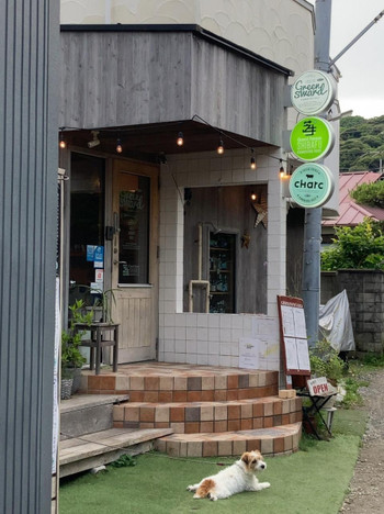 4.  カフェ＆バーを併設したゲストハウス「SHIBAFU（しばふ）」4087527