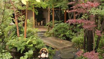 施設の敷地 / 19