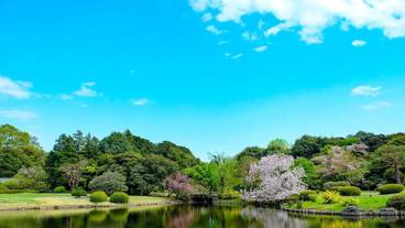 観光スポット / 1