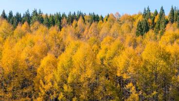 施設からの眺望 / 19