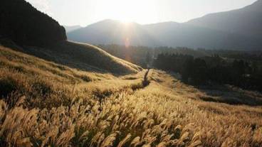 観光スポット / 26