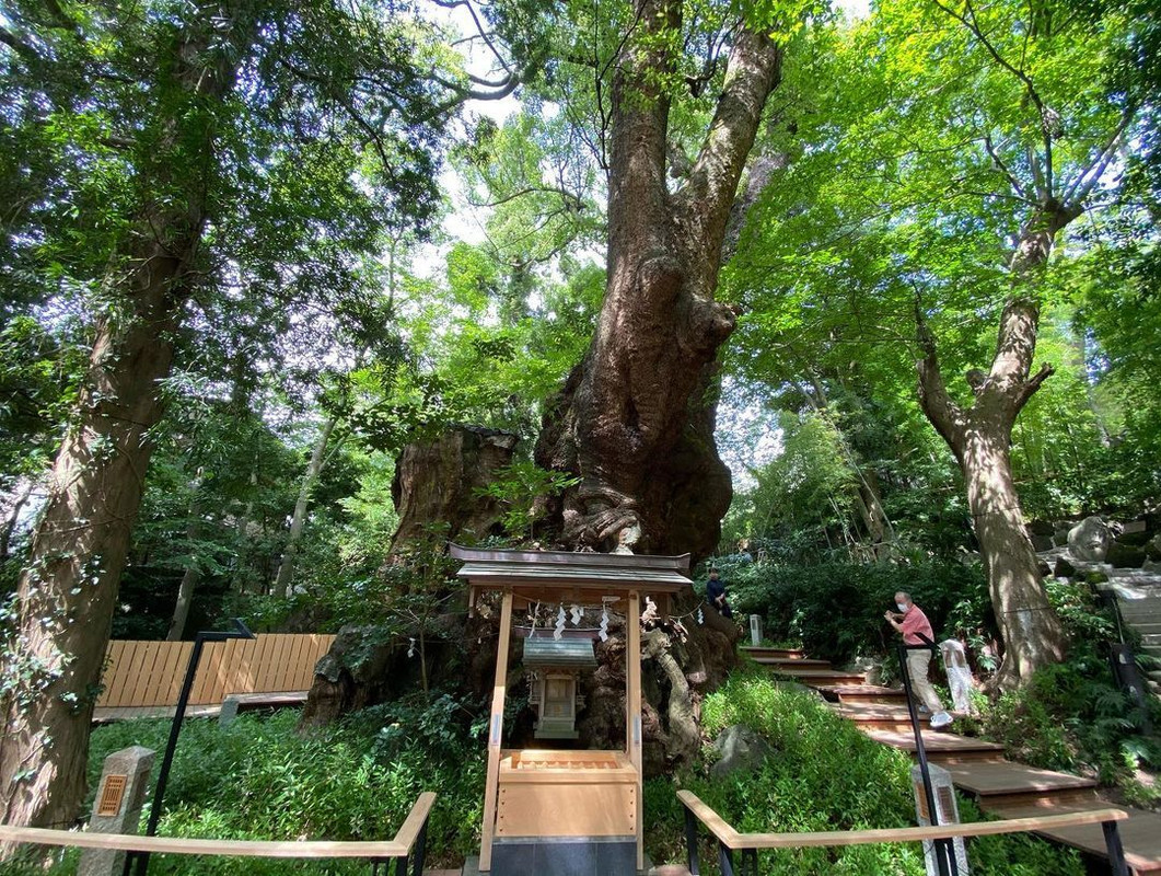 chihiron99さんの写真 / 6