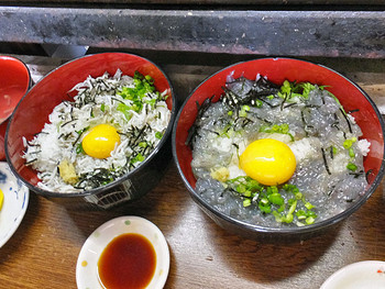 「吉野かき小屋」料理 81934 生しらす丼 ＆ 釜揚げしらす丼