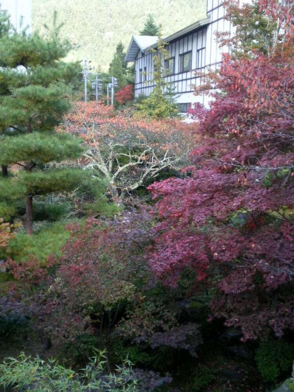 部屋からの景観