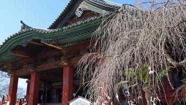 観光スポット / 9