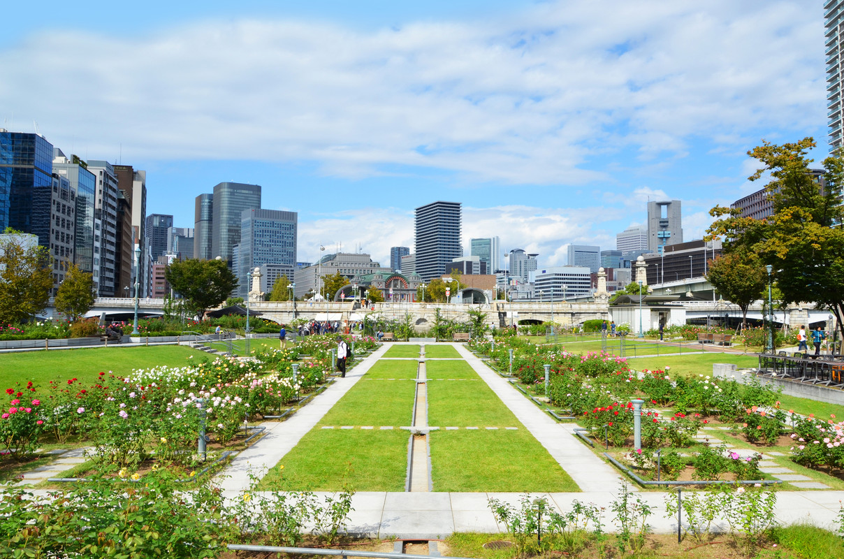 中之島公園内の中之島バラ園
