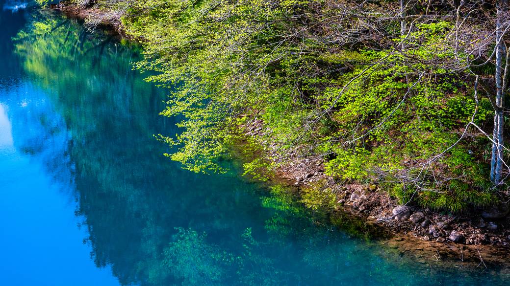 中之条駅からバスで
四万温泉エリアへ / 1