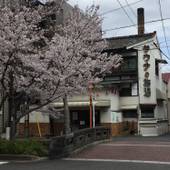 五条 パラディソ(京都府 ゲストハウス・ホステル・ドミトリー) / 3