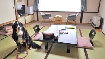 部屋 / 1
