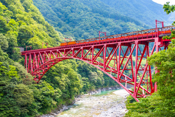 Kurobe Gorge with fresh greenery. View of the trolley train from Yamabiko Bridge.