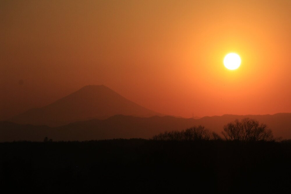 施設からの眺望
