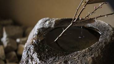 内装の詳細 / 14