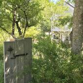 ペンション ジャムー（山梨県 ペンション） / 4