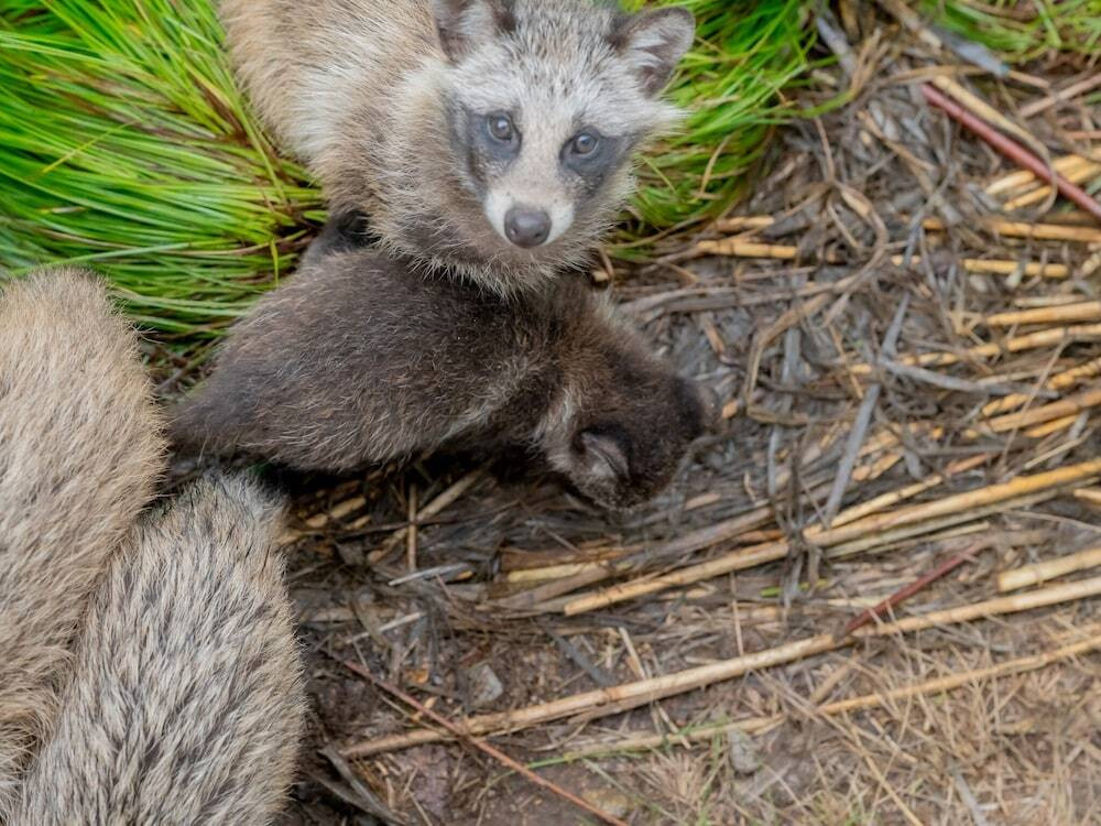 施設からの眺望