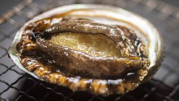 レストラン / 12