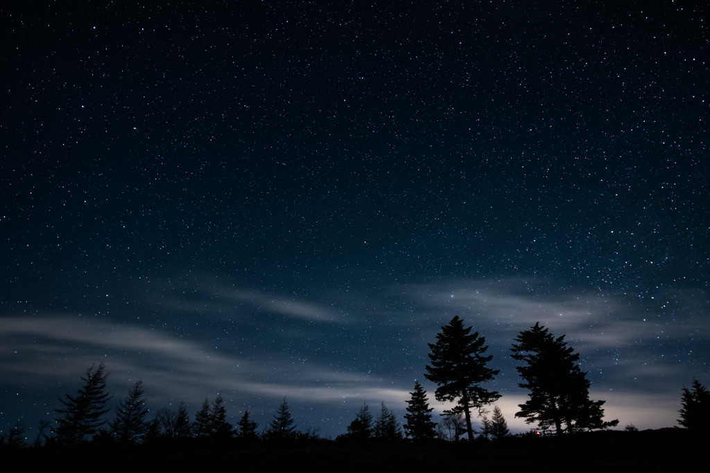 無料ツアーに参加680774