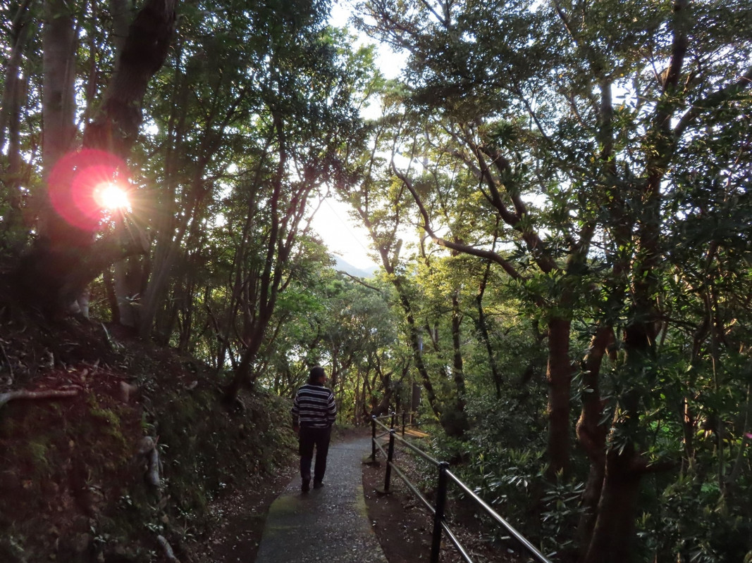 山上の遊歩道