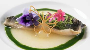 食事・飲み物 / 12