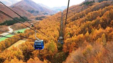 施設からの眺望 / 40