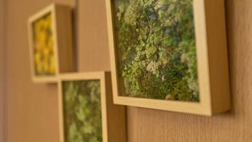 リビング エリア / 34