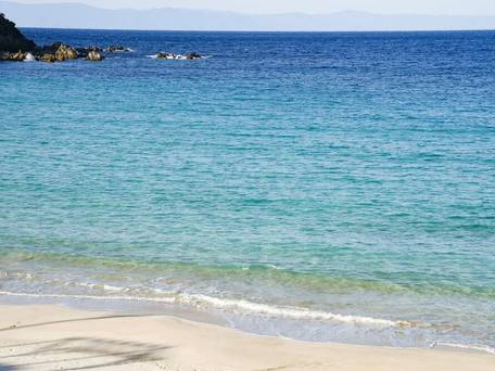 種子島あらきホテル / 2