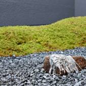 HOTEL KYOTOLOGY（京都府 シティホテル） / 4