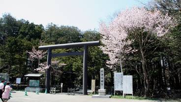 観光スポット / 7